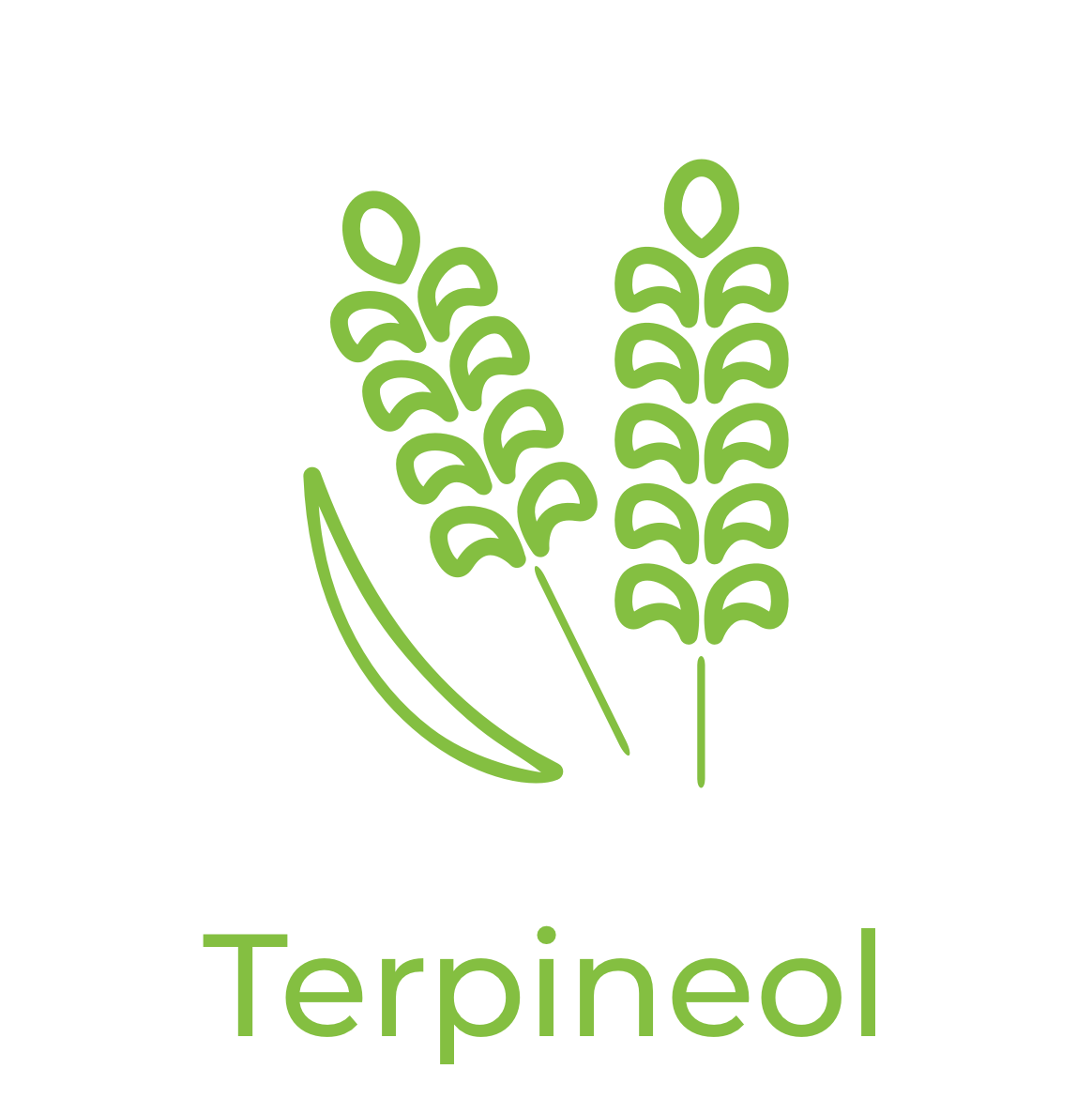 Terpineol icon