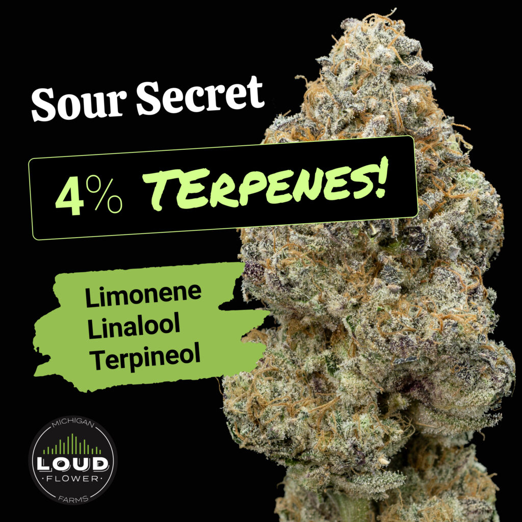 Sour Secret with Terpene Benefits - MI Loud Flower Farms