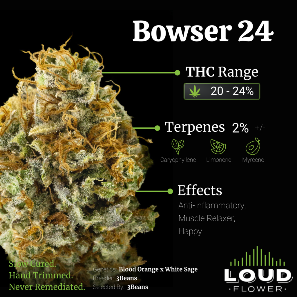 Bowser 24 - MI Loud Flower Farms