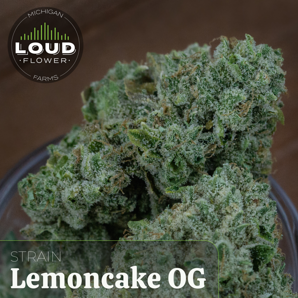 Lemoncake OG - MI Loud Flower Farms